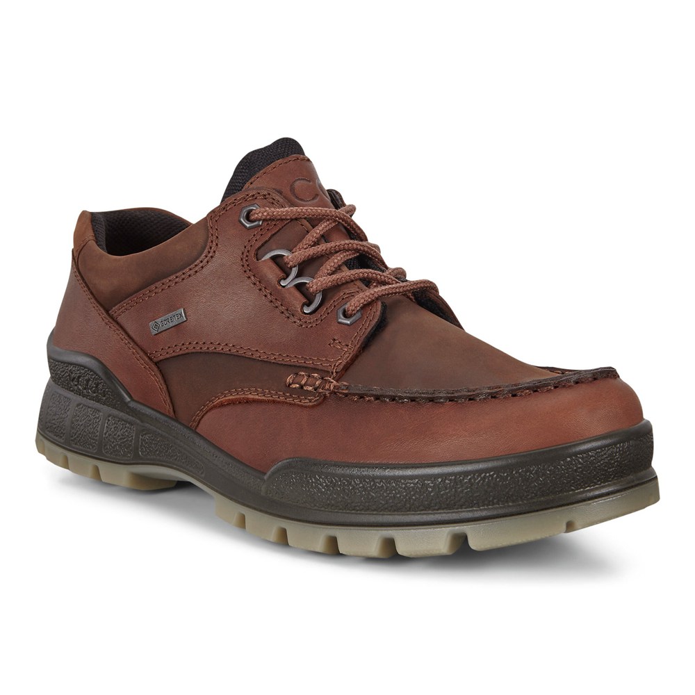 ECCO Mens Hiking Shoes Brown - Track 25 - LVX-852463